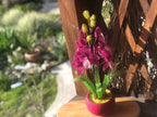 Orchidée en perles magenta dans un pot rose, art floral fait main