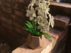 Sculpture d'orchidée en perles blanche artificielle, fleur en pot, ornement de bureau