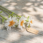 Fleur de marguerite perlée à la main, souvenir de mariée scintillant, tige de broderie perlée, cadeau de mariée