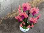 Orchidée perlée en pot rose corail et magenta, décoration intérieure artisanale
