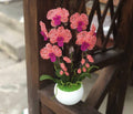 Orchidée perlée en pot rose corail et magenta, décoration intérieure artisanale