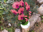 Orchidée perlée en pot rose corail et magenta, décoration intérieure artisanale